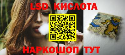 шишки Будённовск